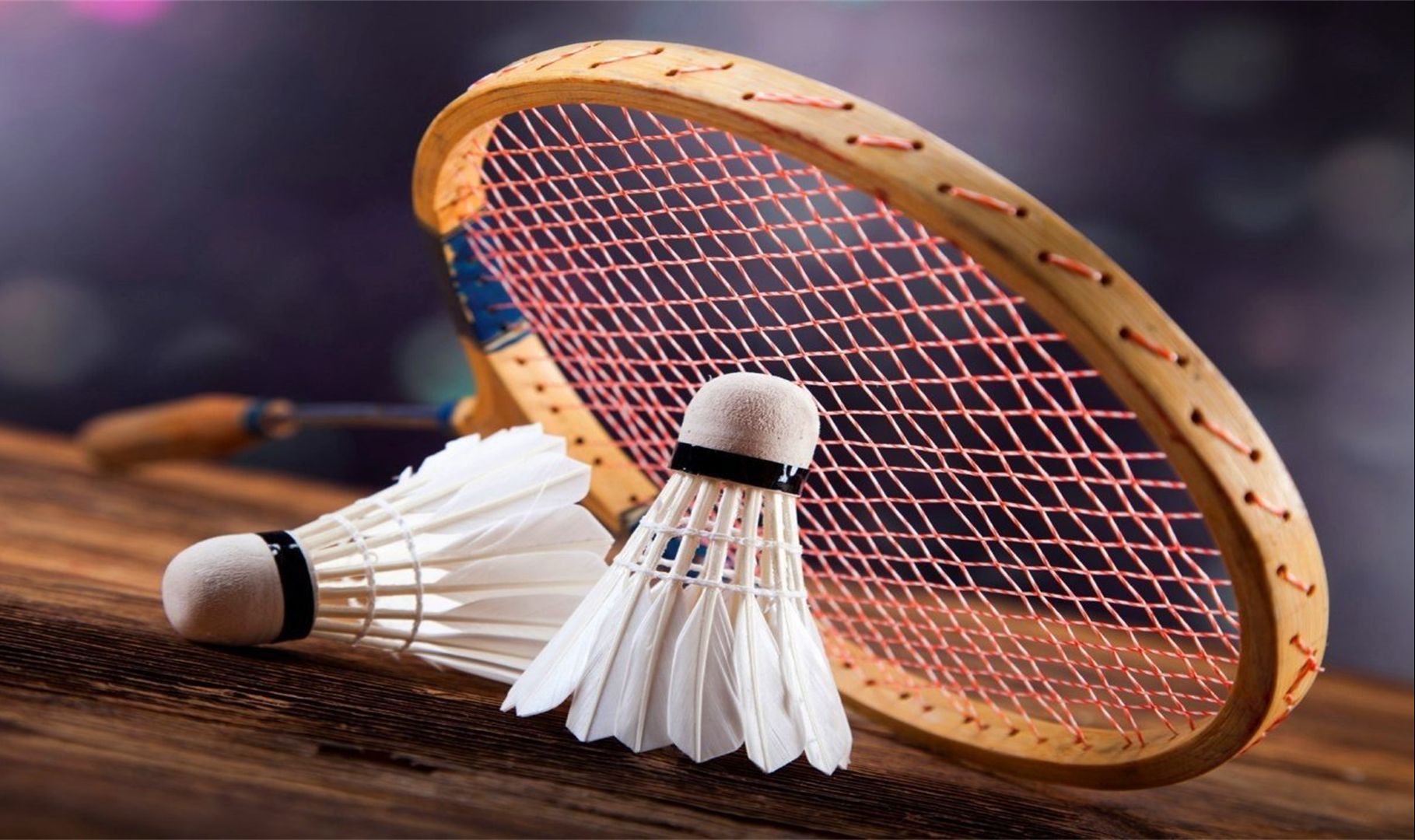 你是指哪一 你是指哪一